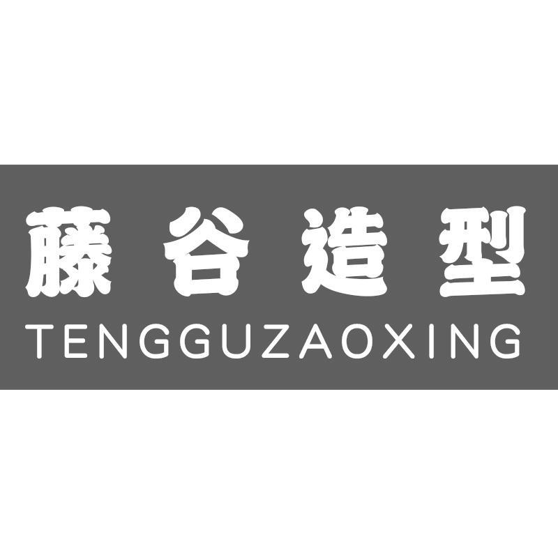 藤谷造型TENGGUZAOXING