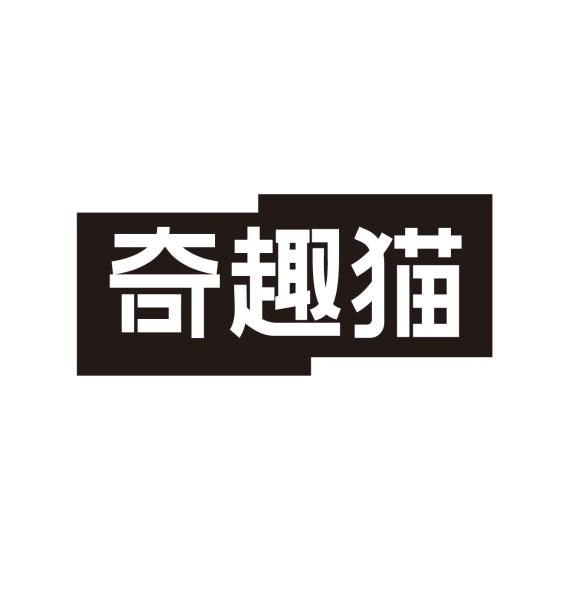 奇趣猫