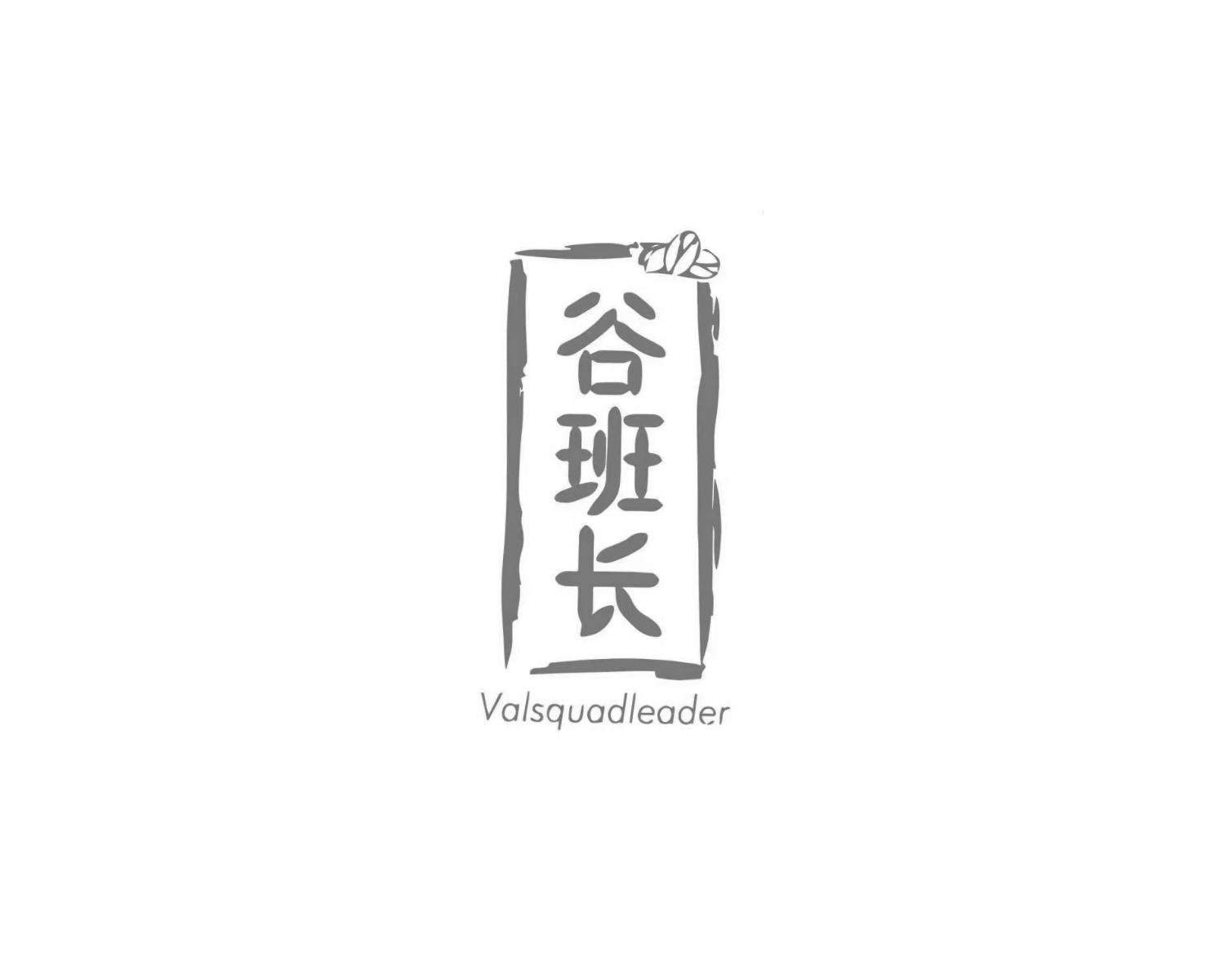 谷班长 VALSQUADLEADER
