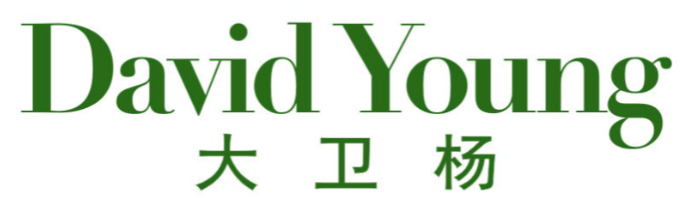 DAVID YOUNG 大卫杨