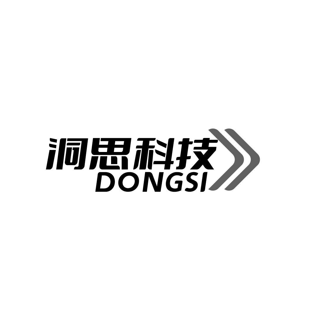 洞思科技 DONG SI