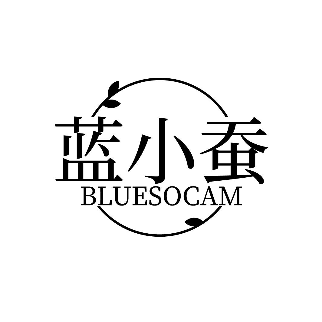 蓝小蚕