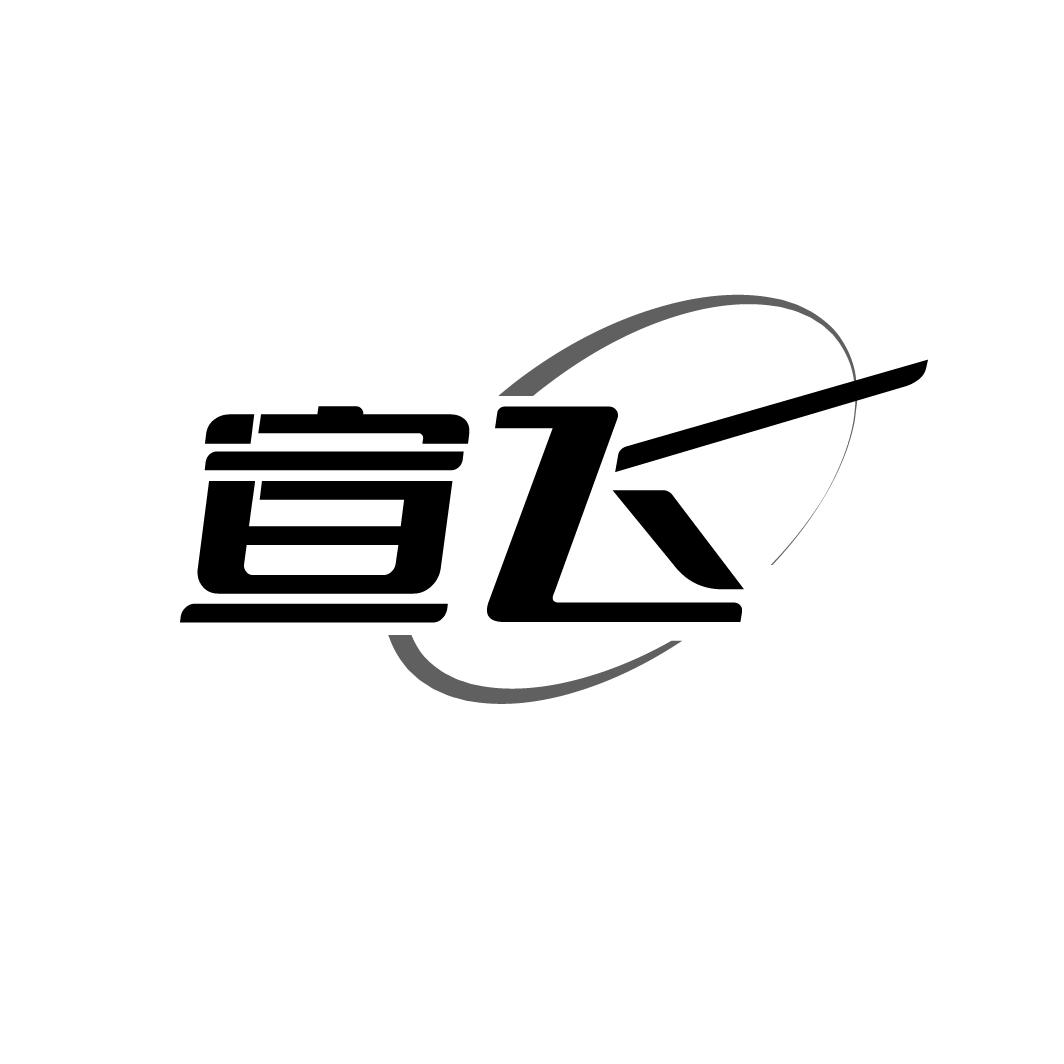 宣飞