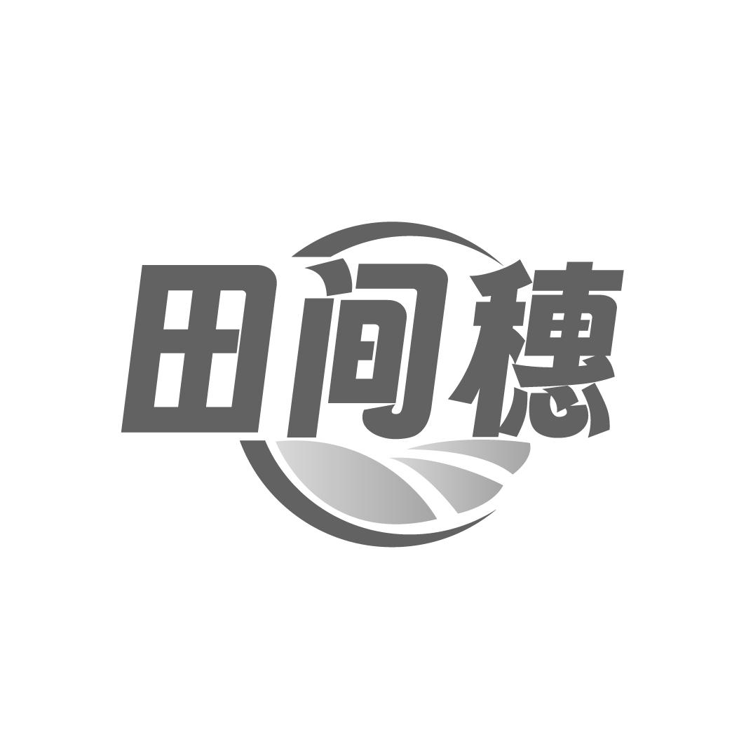 田间穗
