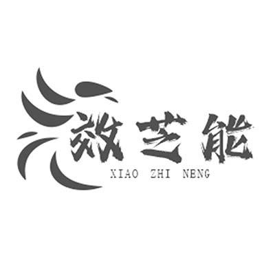 效芝能