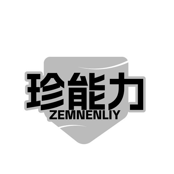 珍能力ZEMNENLIY
