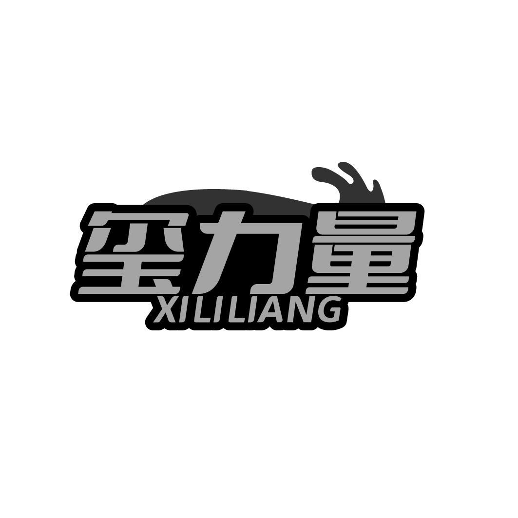 玺力量XILILIANG