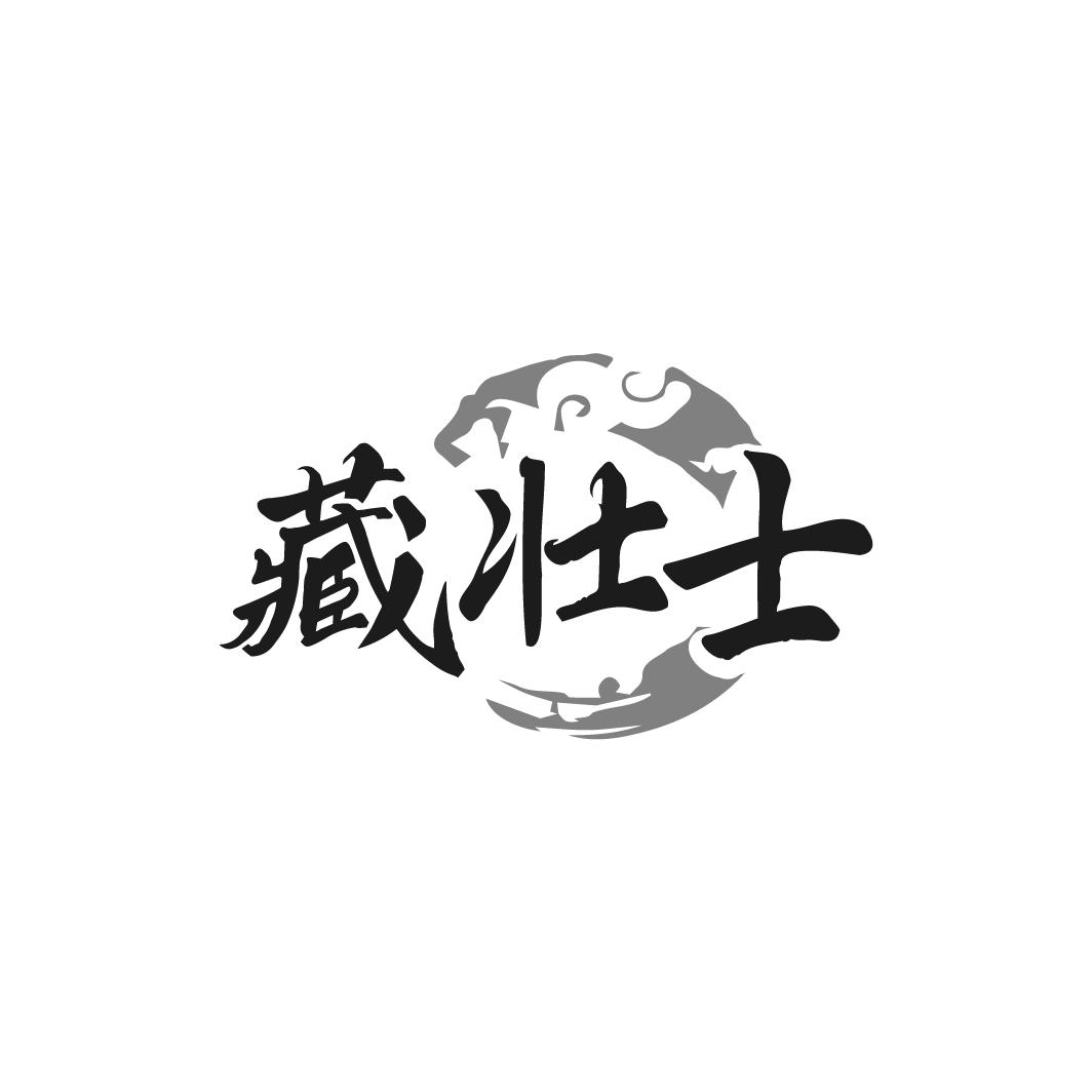 藏壮士