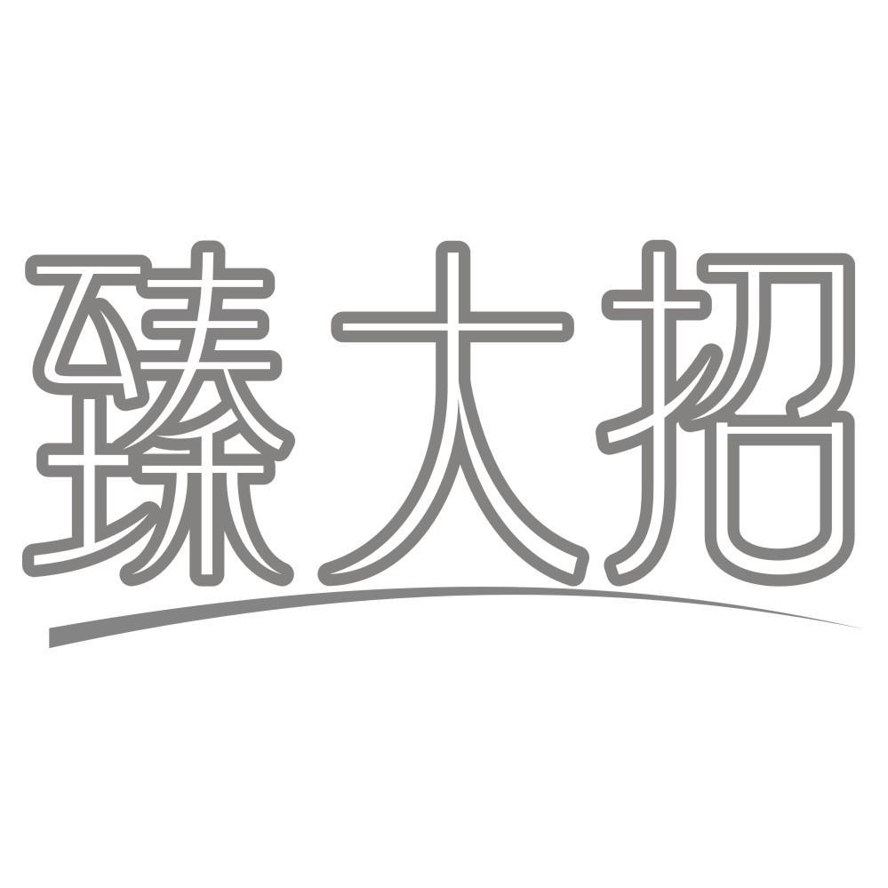 臻大招