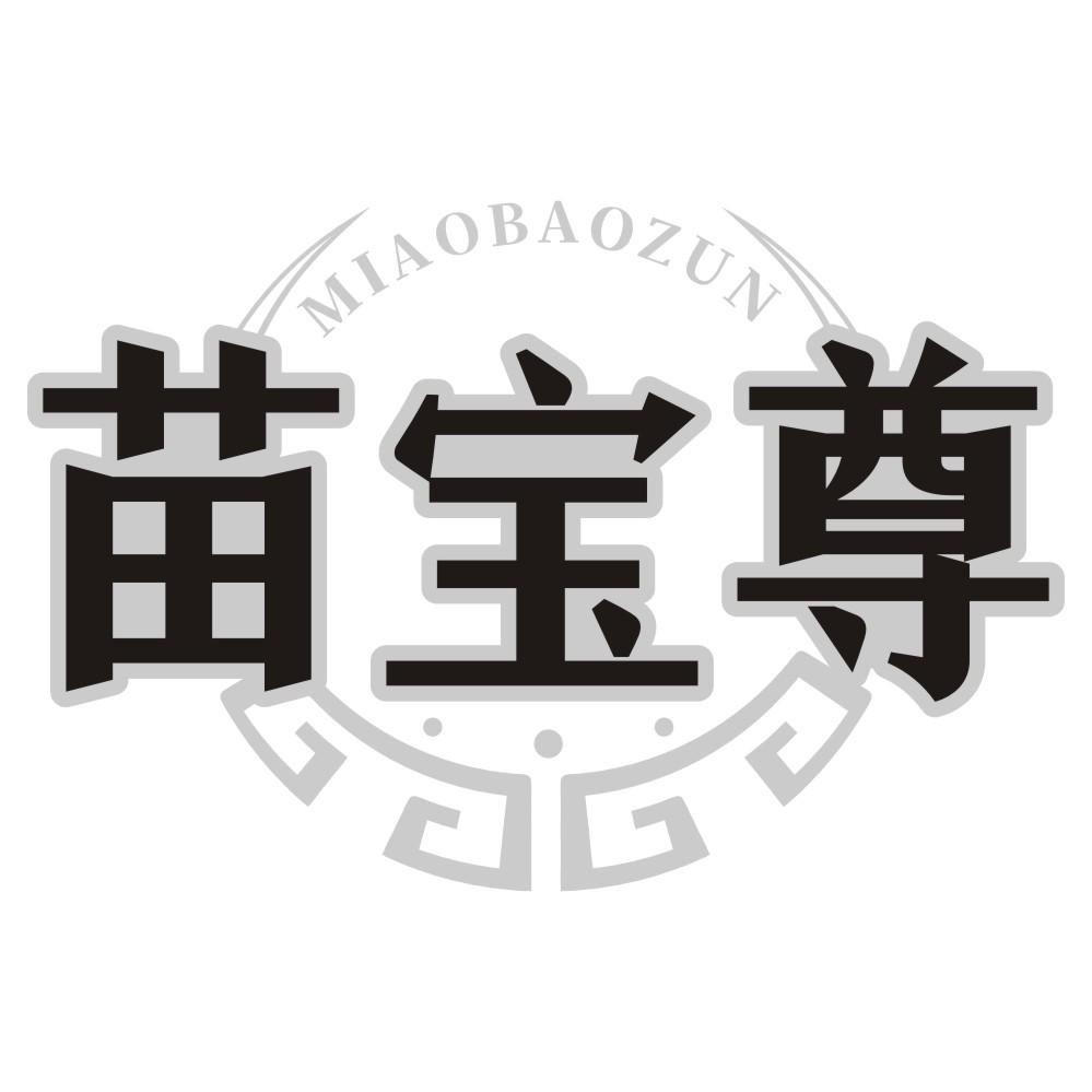 苗宝尊
