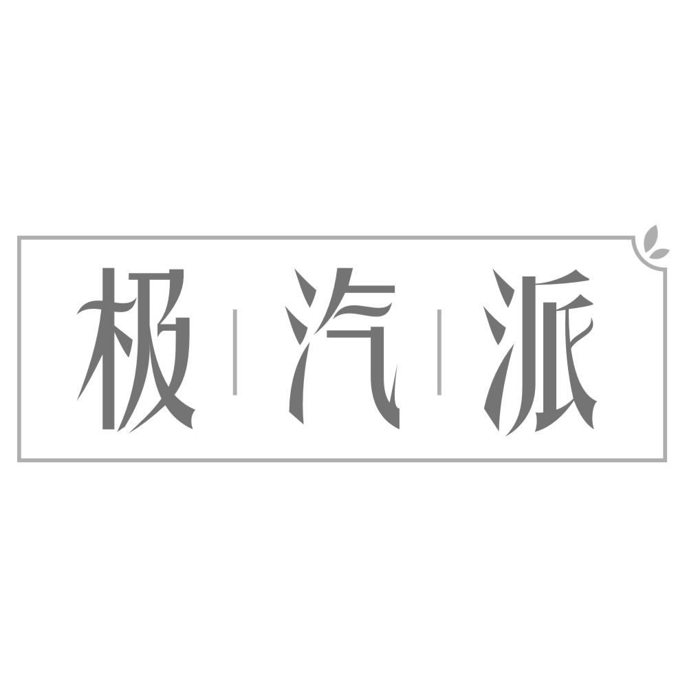 极汽派