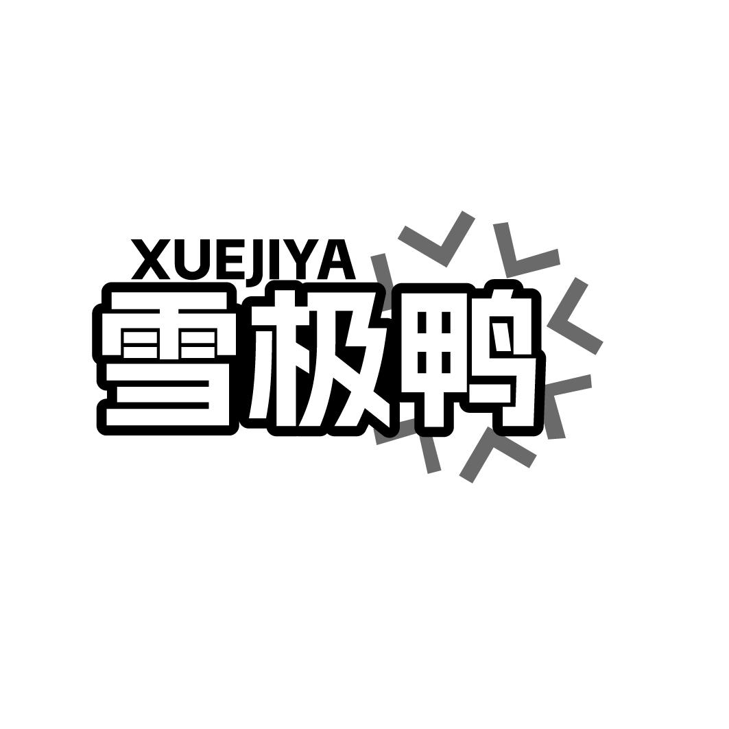 雪极鸭