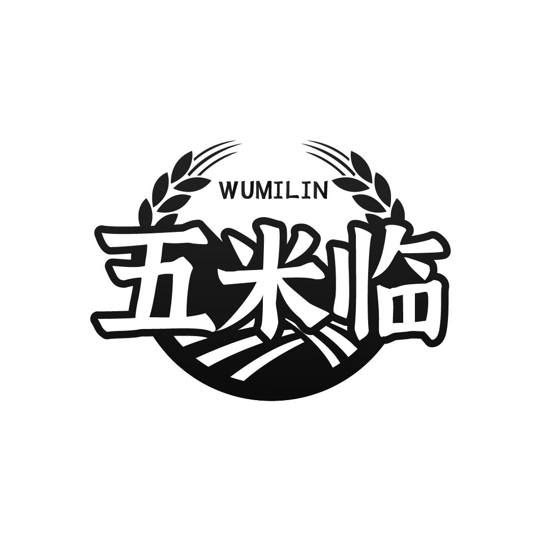 五米临