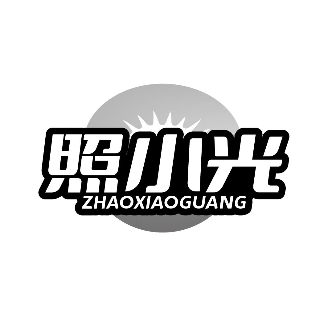 照小光
