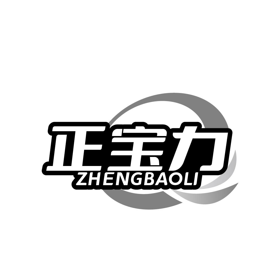 正宝力