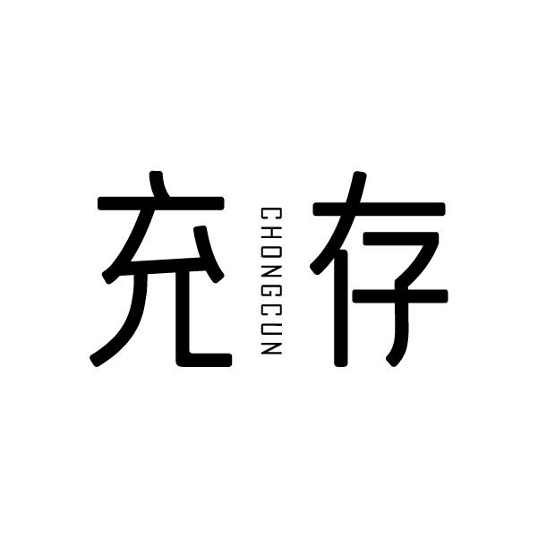 充存
