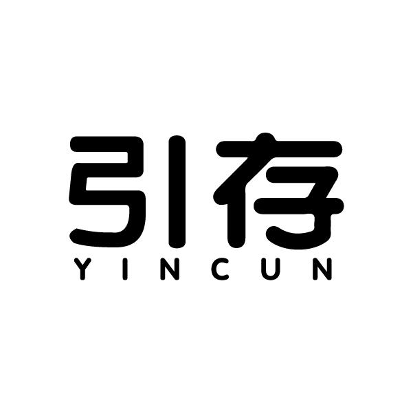 引存