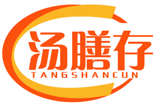 汤膳存