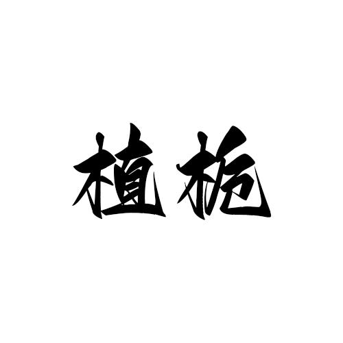 植栀