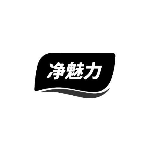 净魅力