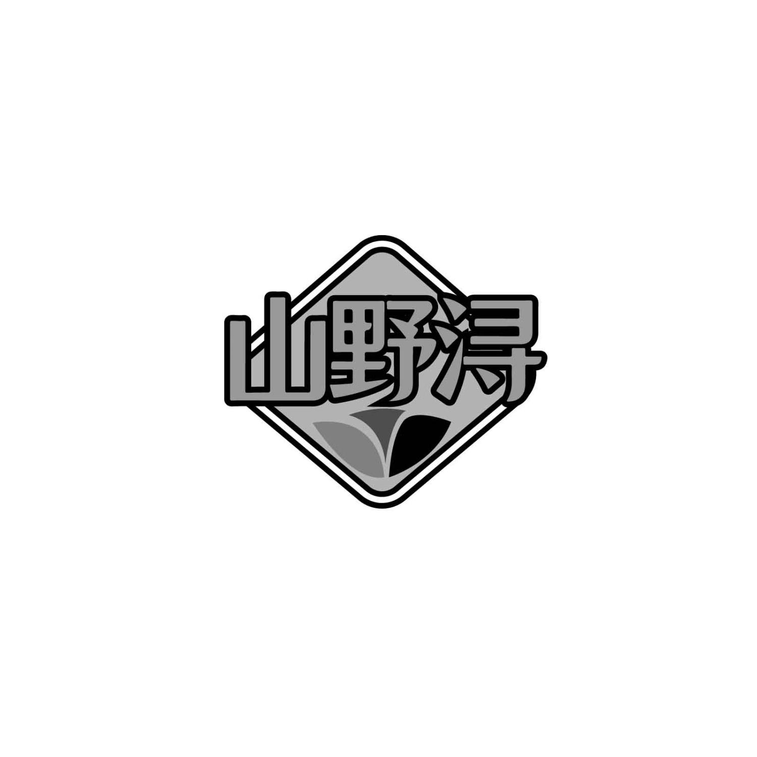 山野浔