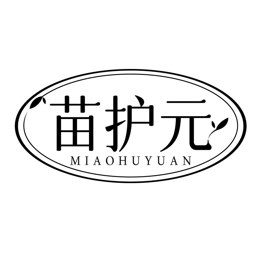 苗护元