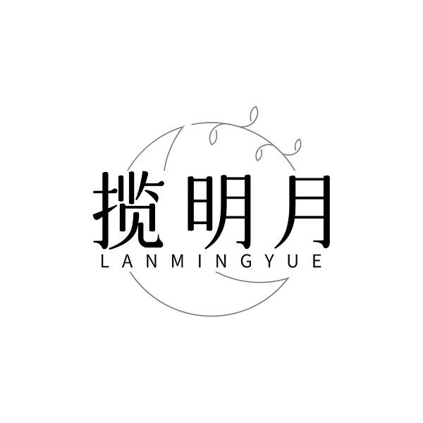 揽明月