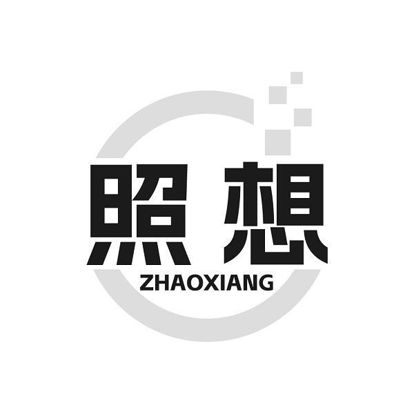 照想