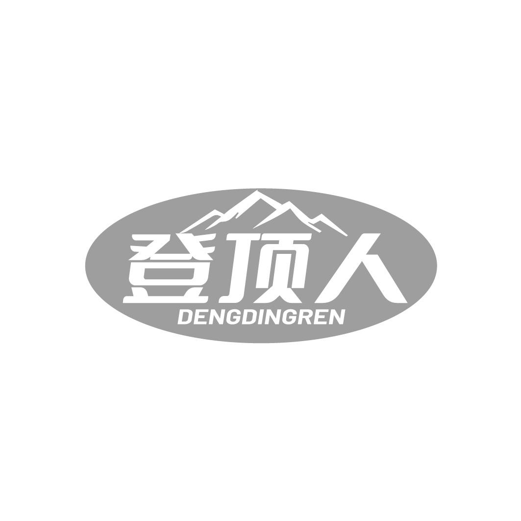 登顶人