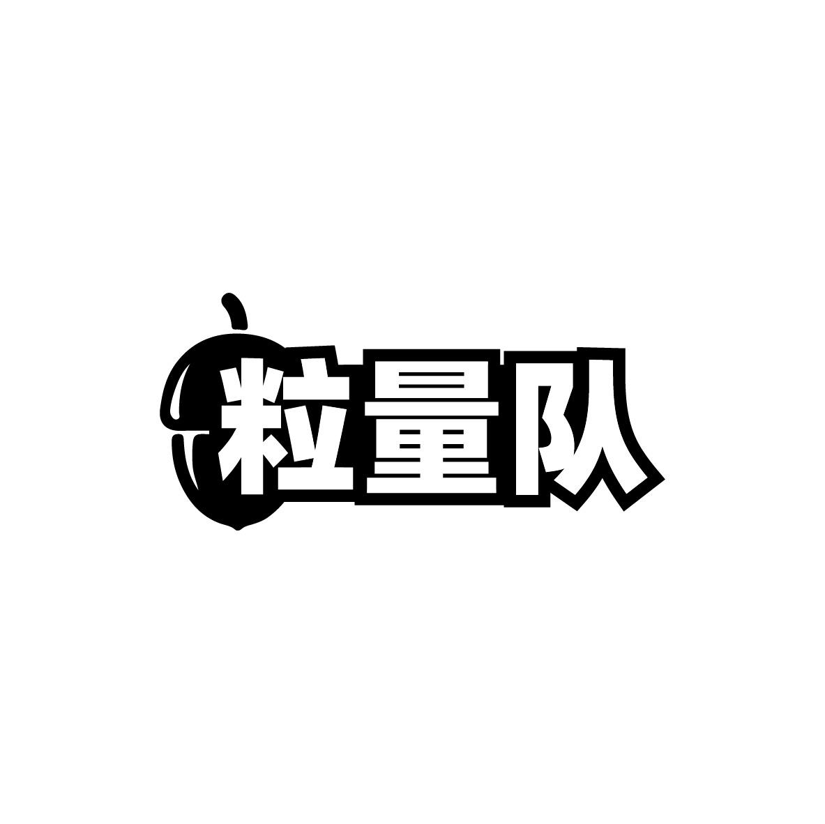 粒量队