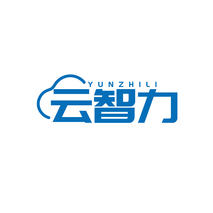 云智力