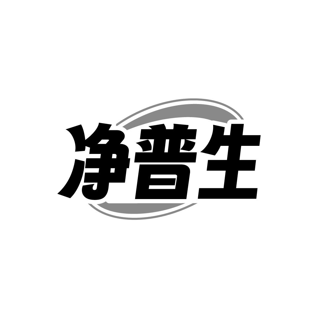 净普生
