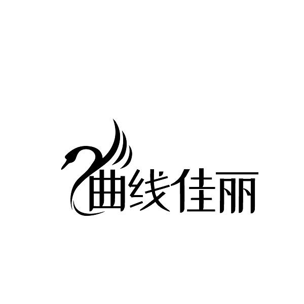 曲线佳丽