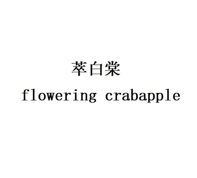 萃白棠 flowering crabapple