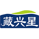 藏兴星