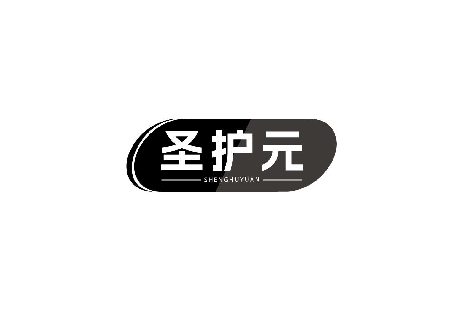 圣护元