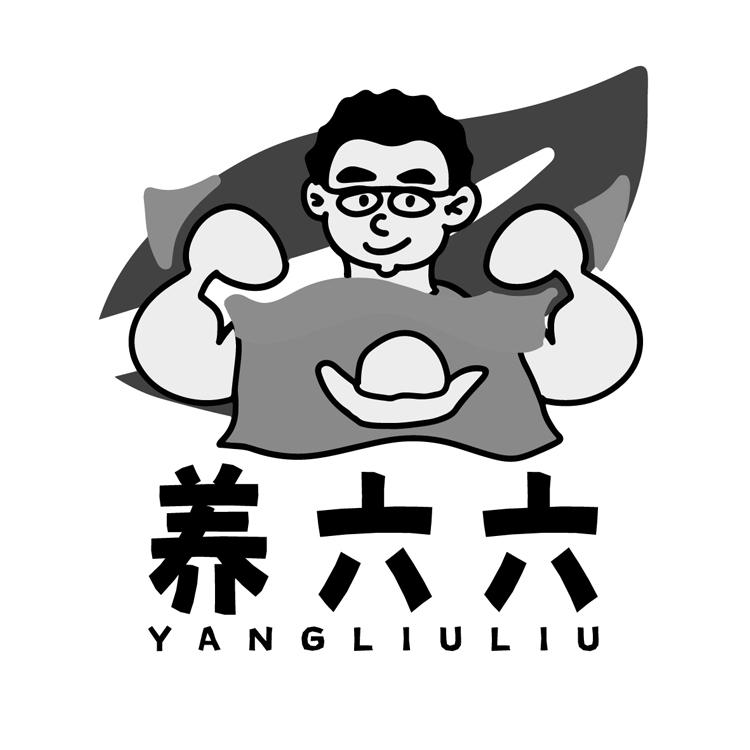 养六六