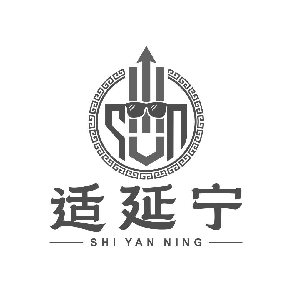 适延宁