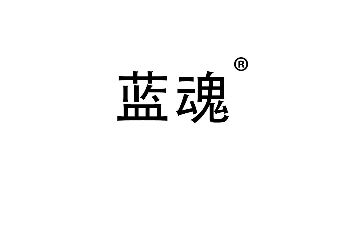 蓝魂