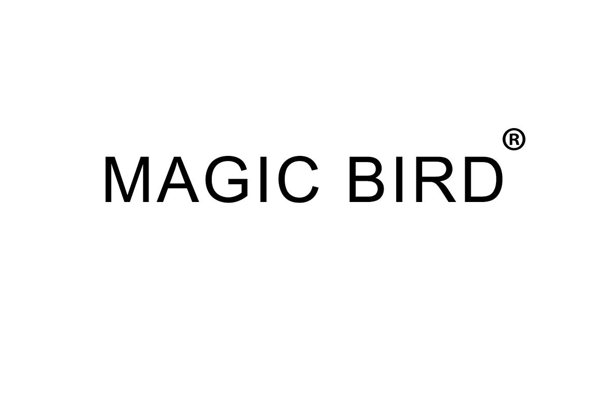 MAGIC BIRD