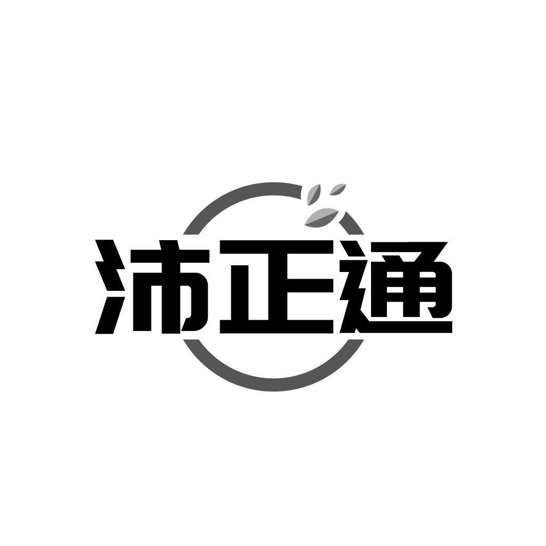 沛正通