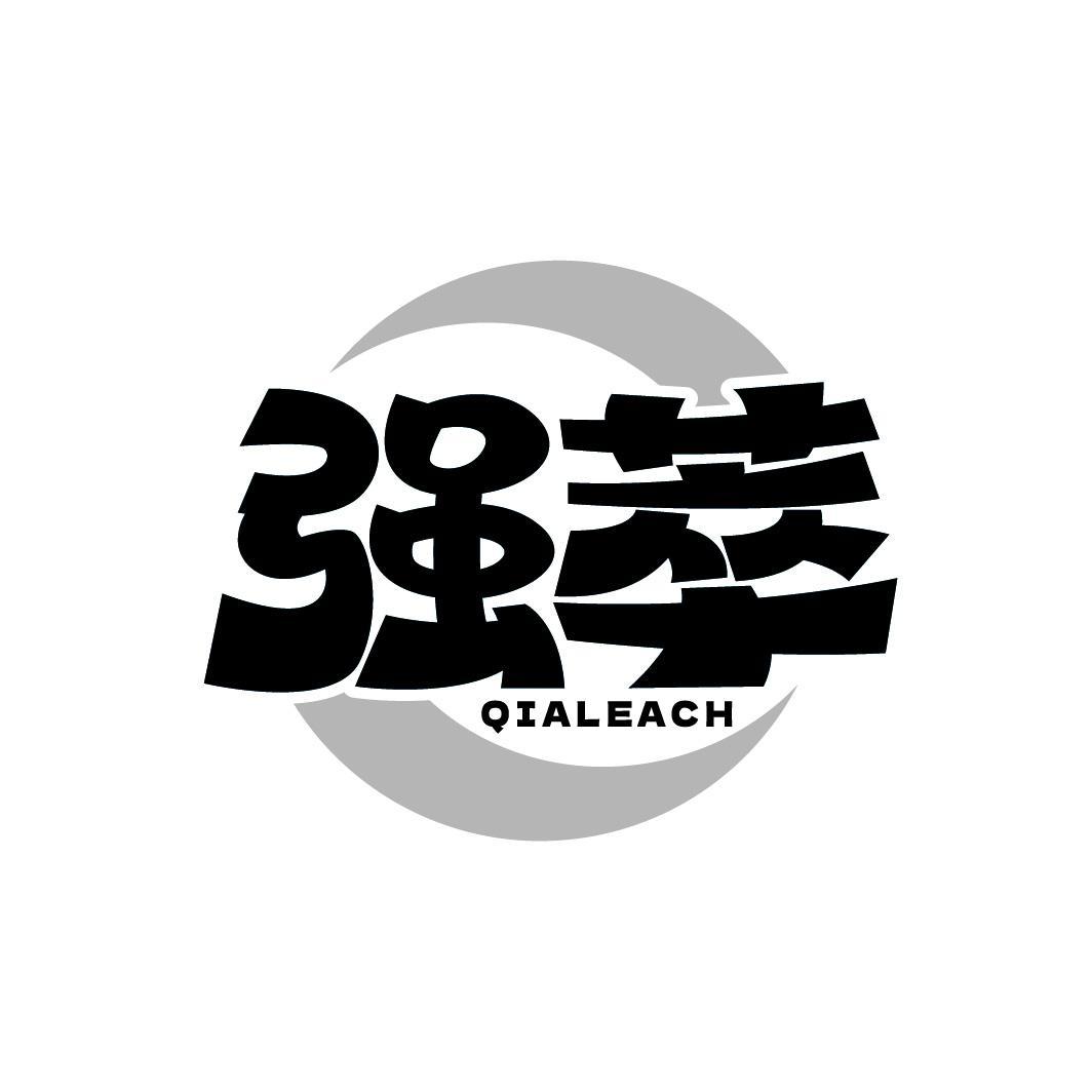 强萃QIALEACH