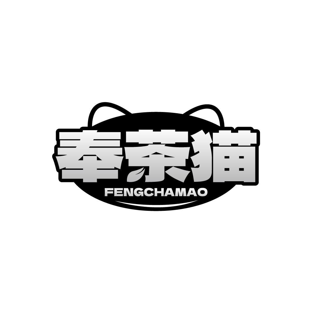 奉茶猫FENGCHAMAO