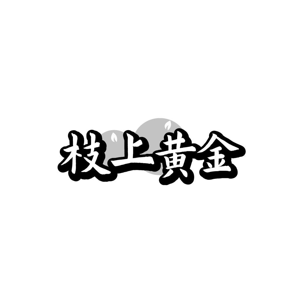 枝上黄金