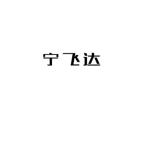 宁飞达