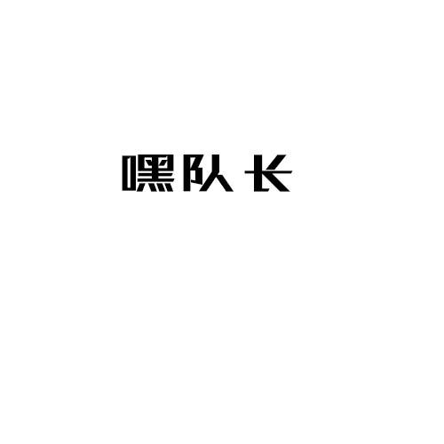 嘿队长