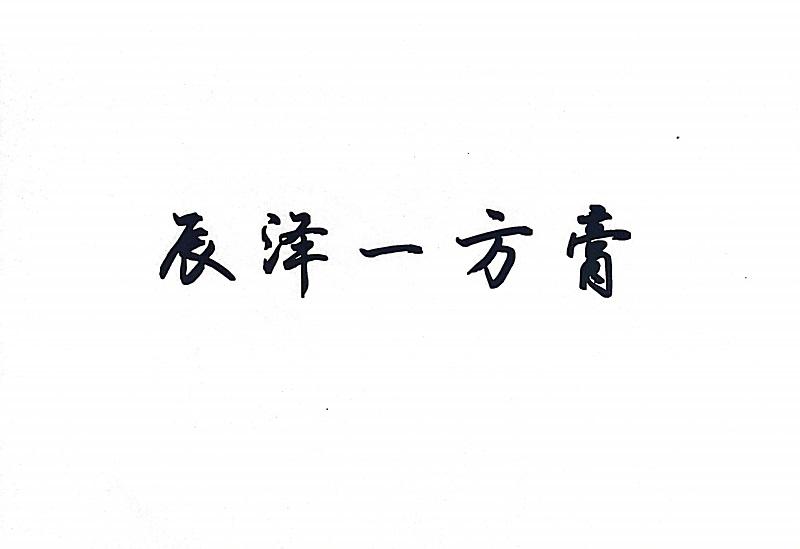 辰泽一方膏