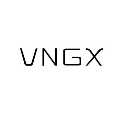 VNGX
