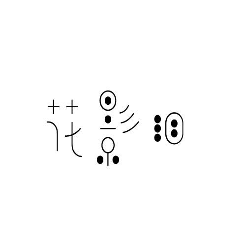 花影泪