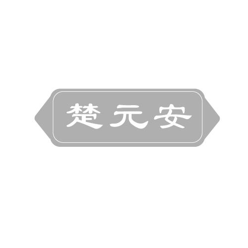 楚元安